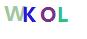 验证码