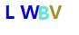 验证码